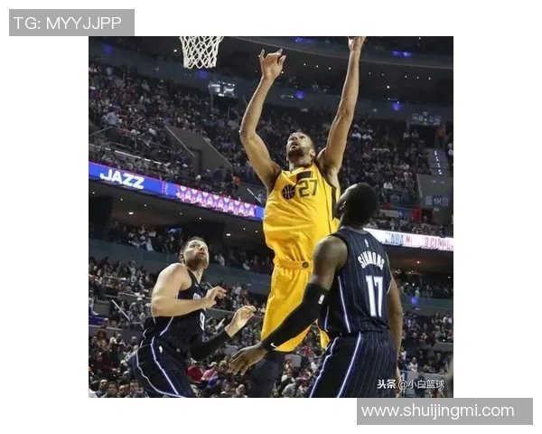 尼古拉武切维奇的艺术之旅与创作探索的深度解析