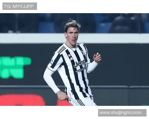 弗拉霍维奇：从新星崛起到意甲锋线的统治者之路