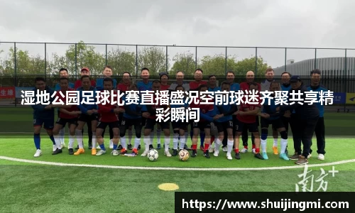 湿地公园足球比赛直播盛况空前球迷齐聚共享精彩瞬间