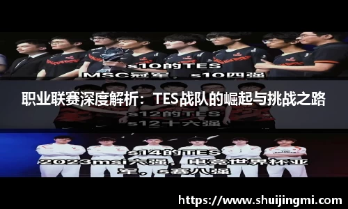 职业联赛深度解析：TES战队的崛起与挑战之路