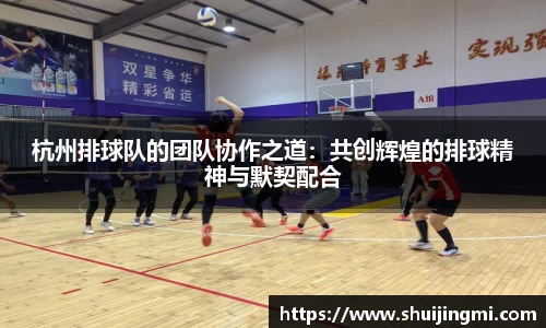 杭州排球队的团队协作之道：共创辉煌的排球精神与默契配合