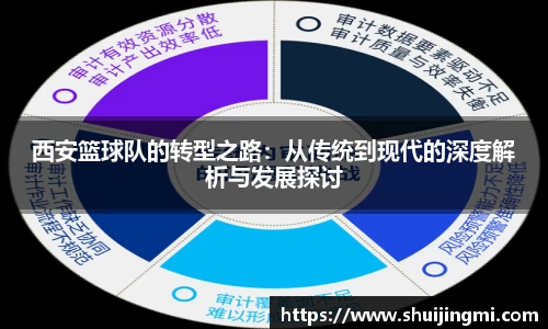 西安篮球队的转型之路：从传统到现代的深度解析与发展探讨